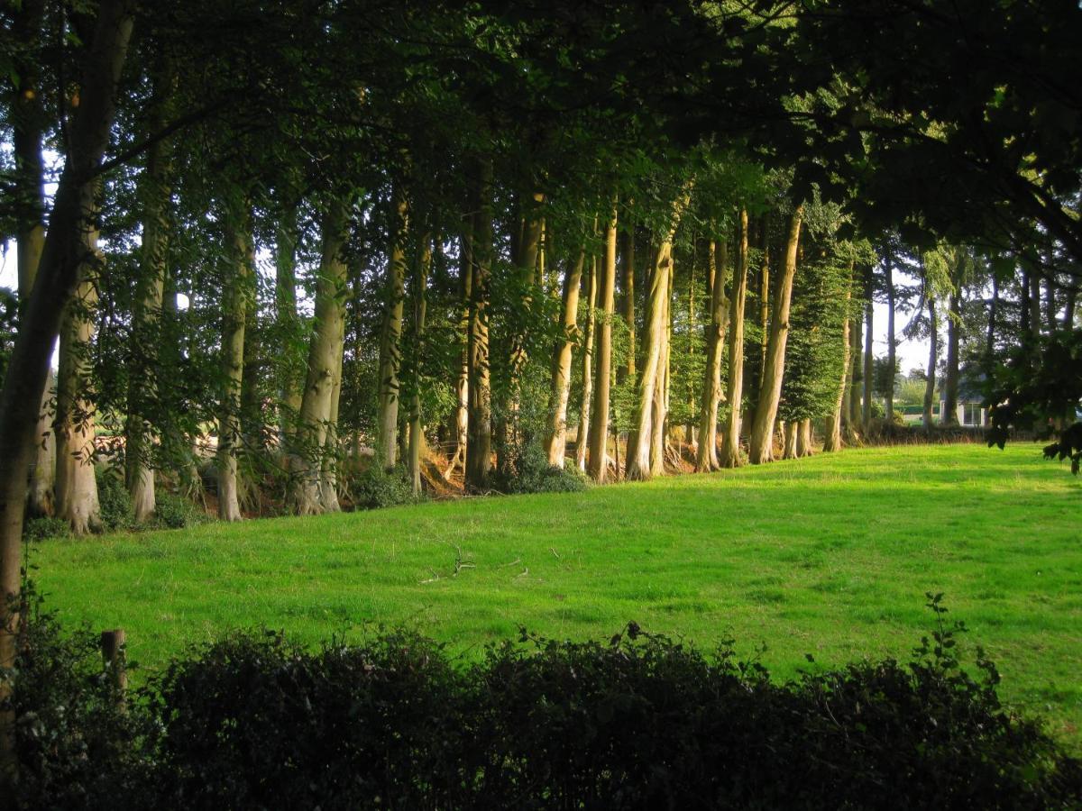 Château de Cleuville Extérieur photo